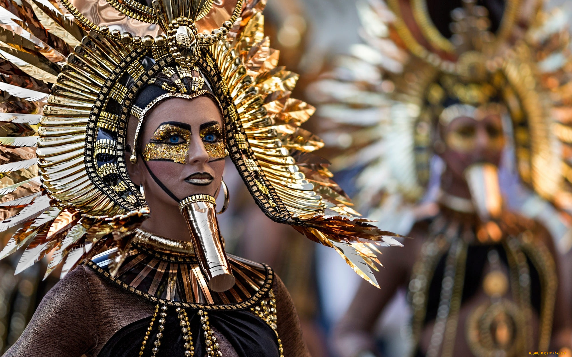 , ,   , brasil, carnival